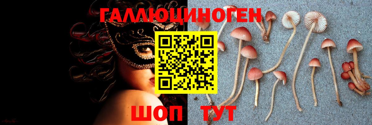 Галлюциногенные грибы Cubensis  Вход с VPN  Ишимбай  Галлюциногенные грибы GOLDEN TEACHER 
