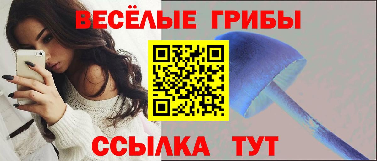 Псилоцибиновые грибы прущие грибы Ишимбай